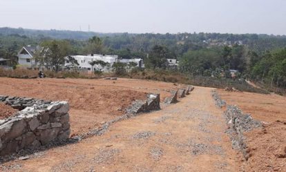 plot1